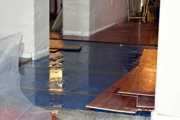 Professional Water Damage Restoration technician working in Linesville, PA